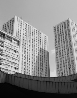 Friederike Haller Studio