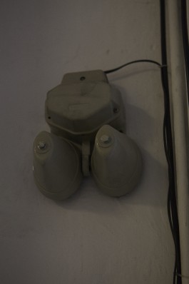 Friederike Haller Studio