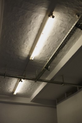 Friederike Haller Studio